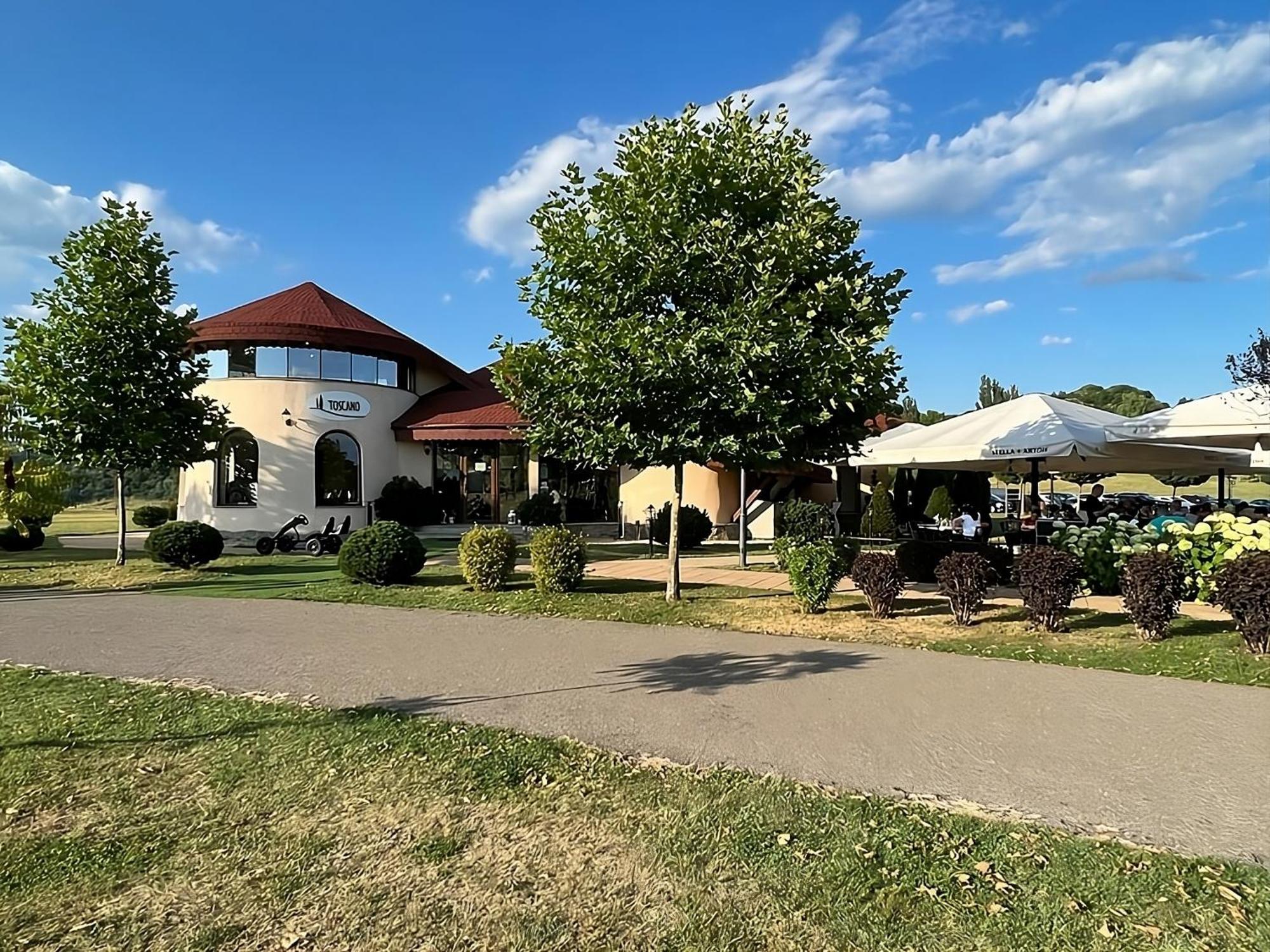 Villa Cu Mesteceni