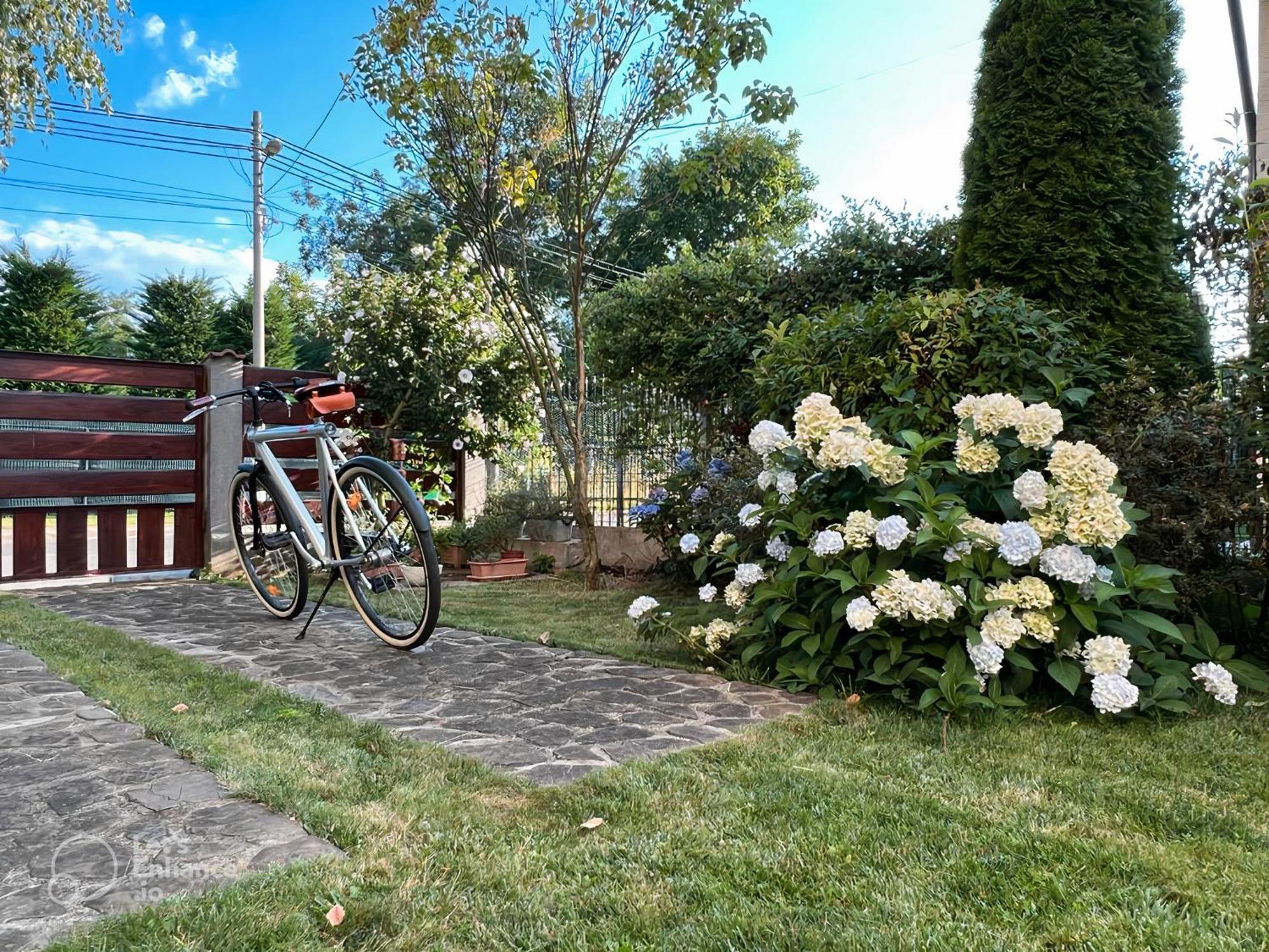 Villa Cu Mesteceni Campina